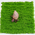 Hermit Crab Climbing Wall, 6 Inch Adjustable Hermit Crab Supplies for Hermit Crab Tank