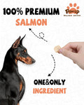PAWUP Freeze Dried Salmon Dog Treats, Single Ingredient