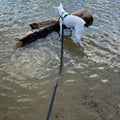 Waterproof Long Leash Durable Dog Recall Training Lead Great for Outdoor Hiking, Training, Yard, Beach and Swimming
