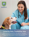Shield Tag - Natural Flea & Tick Repellent Collar Tag for Dogs & Cats - Waterproof, Lasts 12 Months - Stainless Steel Pe