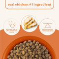 Canidae All Life Stages Multi-Protein, Chicken, Turkey, Lamb & Fish, 40 lb