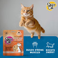 Salty Cat Freeze Dried Tuna cat Treats, 100% Wild-Caught Tuna, 10 g