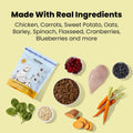 The Pets Table, Bundle of Chicken & Sweet Potato Air-Dried Dog Food, 48-Ounce Bag + Probiotic Soft Chews Duck Flavored G
