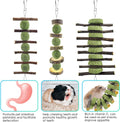 ERKOON Bunny Chew Toys, Rabbit Chew Toys for Teeth Grinding, Improve Dental Health, 100% Natural Apple Wood Timothy Gras