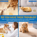 Dog Potty Training Spray,Go Here Potty Training Indoor & Outdoor,Dog Pee Attractant Spray,Training & Behavior Aids For Dogs Cats to Pee in One Spot,Prevent Your Pet from Soiling The Carpet,120ML