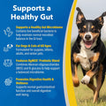 Doc Roy's GI Synbiotics Prebiotic & Probiotic Granules for Dogs & Cat, 454g