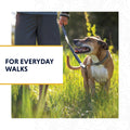 Ruffwear, Chain Reaction Martingale Dog Collar