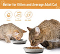 Wellbro Cat Bowls, 2 Pcs Stainless Steel Cat Bowls for Food and Water, Whisker Fatigue Shallow Non-Slip Dishes Plates for Small Dog Puppies Cats