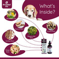 Hairball Care | Digestive Support for Cats and Dogs | Hairballs, Constipation, Intestinal Discomfort | 100mL Herbal Tinc