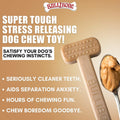 Bullibone Nylon Dog Chew Toy for Aggressive Chewers - Dental Hygiene Bone with Peanut Butter Flavor, Durable Tough Chew Toys for Small Dogs, Indestructible Dog Bone - Single