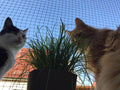 Cat Netting Balcony 10 * 13ft Pet Mesh Fence for Balcony Black Nylon Balcony Netting for Pets Anti-Fall Cat Net for Balc
