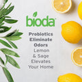 Bioda Commercial Strength Enzymatic Stain & Odor Eliminator for Pets, 1 gal