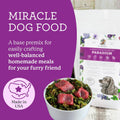 Dr. Harvey's Paradigm Green Superfood Base Mix for Dogs (6 lb)