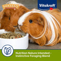 VitaKraft Sunseed Vita Prima Guinea Pig Food 4 lb.