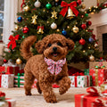 Lionet Paws Christmas Dog Collar with Sailor Bow, Cute Ho Christmas Tree Snowman Pink Dog Collar Bow Tie for Dogs, Small