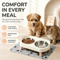 Elevated Dog Bowls with Mat, 2 Stainless Steel for Small Dogs Under 25 Lb