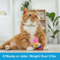 Topical Flea and Tick for Large Cats: Waterproof Topical Cat Flea and Tick – Fast-Acting & Long-Lasting at Home Control 