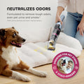 Shark StainForce Cordless Stain, Odor & Urine Remover, 2 Tools, HX102BRN