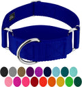 Country Brook Petz - HossFit Jr Wide Martingale Dog Collar - Training Collar with No Buckle - Service Dog Collar for All
