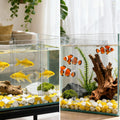Fish Tank Divider, Transparent Acrylic Separator Plate with Suction Cups for Aquarium, Aquarium Divider Grid, Fish Tank 
