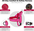 Didog No Pull Dog Harness for Small Dogs, Breathable Mesh Padded,Hot Pink,S