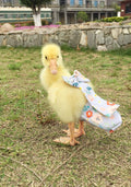 Duck Diapers, Chicken Diapers, Special Diapers for Poultry, Chicken, Duck and Goose Waterproof, Adjustable, Washable and