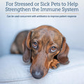 Rx Vitamins Liquid Immuno - Immune Support for Dogs and Cats - 2oz, Chicken