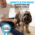 The Doodle Brush Slicker Brush Dog Poodle Brush Detangler, Extra Long Pin