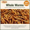 Adaman Dried Mealworms -10 LBS- 100% Natural Non GMO High Protein Mealworms - Bulk Meal Worms for Chickens & Birds, Ducks - Best Chicken Treats, Bird Food, Turtle Food