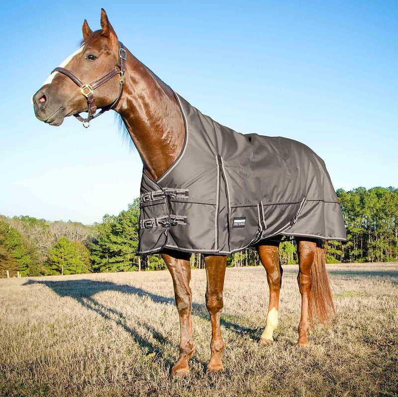 Jeffers 1680D High Neck Horse Turnout Blanket, 240G, 78