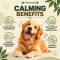 Hemp Calming Chews for Dogs Anxiety & Stress Relief - 170 Dog Calming Chews