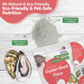 Oyster Shell Supplement for Hermit Crabs – Natural Calcium Source for Molting Support – Auto Feeder Compatible – USA-Sou