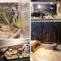 Fhiny 2 PCS Cork Bark Background, 11.6" x 7.7" Natural Reptile Terrarium Backdrop, Reptile Climbing Wall Decor for Beard
