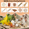ZooVibe Bird Toys Parrot Natural Foraging Box Parakeet Toys DIY Hanging String for Cockatiels,Conures,Love Birds,and Other Small to Medium Birds Cage Accessories (Medium)