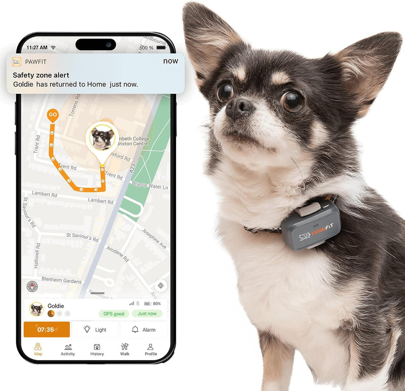 Pawfit Lite 4G GPS Dog Tracker, Live Tracking, Ultra-Light