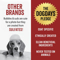 Pride and Groom DogDays Curly + Wavy Grooming Shampoo | Tearless, All-Natural Shampoo for No and Low Shedding Dogs | Moisturizing Formula for Soft, Shiny, & Healthy Fur – 16 oz