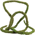 USMOLA Moss Vine for Reptiles, Bendable Climbing Vines Reptile Tank Accessories, Natural Moss Rope for Leopard Gecko, Li