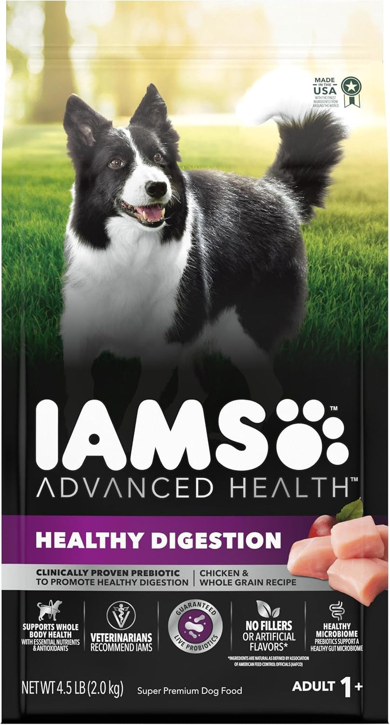 IAMS Advanced Health Healthy Digestion Dry Dog Food, Chicken, 4.5 lb