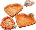 3 Pack Reptile Food Dish, Resin Hermit Crab Food & Water Bowl, Reptile Feeding Food Dish Kit, Tank or Aquarium Accessory