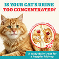 Wellix 13.5oz Urinary Tract Health Supplement Cat Treats for Indoor Cats - Chicken Flavor Kitten Snacks for Support Kidney Bladder & Urinary Health Cat Training