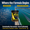 Xtreme Cichlid Peewee 1.5 mm Pellets - Proven Nutrition for Cichlids - Balanced Amino Acids, Boost Immune & Digestive He