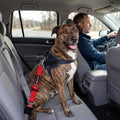 Support Pets Dog Seat Belt for Car – Adjustable Dog Safety Seatbelt Harness for Dogs & Puppies – Vehicle Seatbelt Clip f