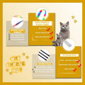 FYNIGO Interactive Cat Wand Toys for Indoor Cats, 2 Pcs Rainbow Teaser Wand