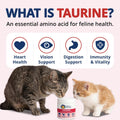 Under the Weather Taurine for Cats | Vet Formulated Chicken Flavor Taurine Powder Supplement for Cats and Kittens | Supp