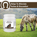 Vet Classics ArthriEase-Gold Joint Support for Horses - 2 lb, 4 Oz