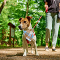 ADOGGYGO Fall Dog Bandana with Tassels Edges, Plaid Thanksgiving Scarf, L