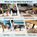 Langsprit Small Male Dog Diapers for Doggie Puppy,Reusable Belly Bands for Male Dogs Wraps,Washable Doggy Dog Diapers Me
