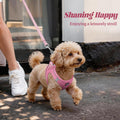 YIMEIS Dog Harness and Leash Set, No Pull Soft Mesh Pet Harness, Reflective Adjustable Puppy Vest for Small Medium Large Dogs, Cats (Pink, X-Small (Pack of 1)