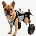 Rear Wheels Mobility Aid Cart Dog Wheelchair for Back Legs, M