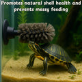 Turtle Shell Cleaning Suction Brush Tank, Turtle Scratcher for Tank Shell Cleaner with Suction Cup and Handheld Back Scr